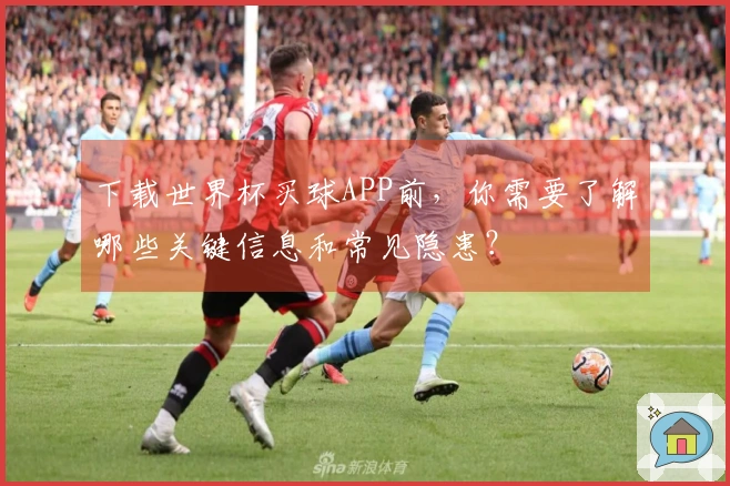 下载世界杯买球APP前，你需要了解哪些关键信息和常见隐患？