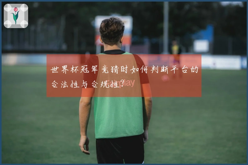 世界杯冠军竞猜时如何判断平台的合法性与合规性？