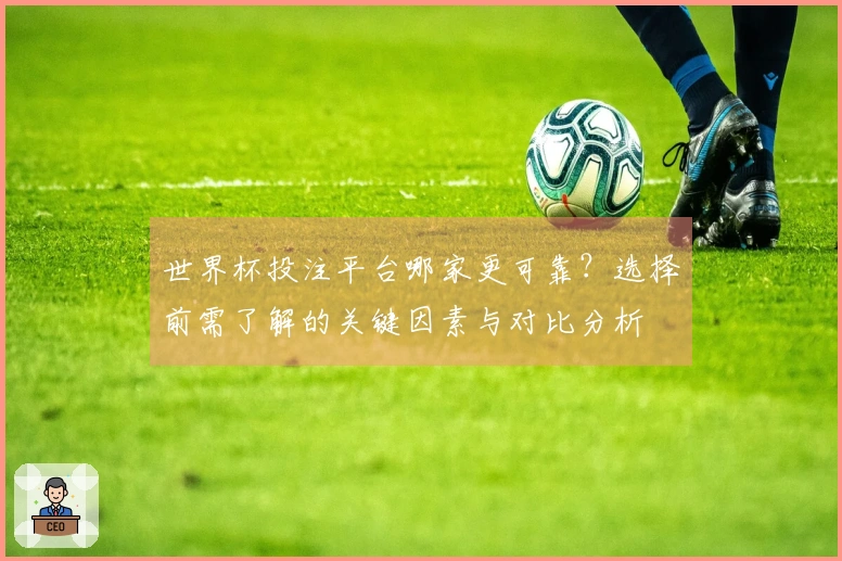 世界杯投注平台哪家更可靠？选择前需了解的关键因素与对比分析