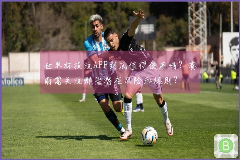 世界杯投注APP到底值得使用吗？赛前需关注哪些潜在风险和规则？