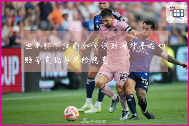 世界杯下注前如何识别海外平台的赔率变化与风险隐患