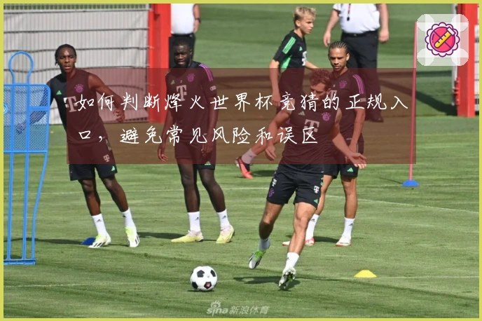如何判断烽火世界杯竞猜的正规入口，避免常见风险和误区