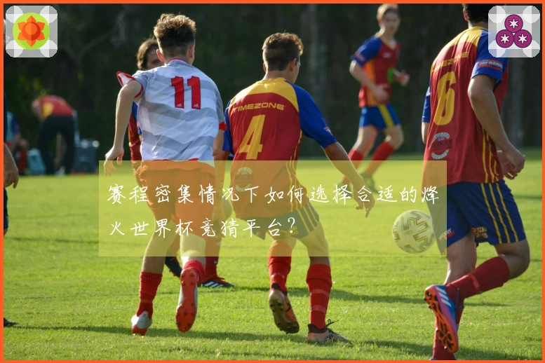 赛程密集情况下如何选择合适的烽火世界杯竞猜平台？