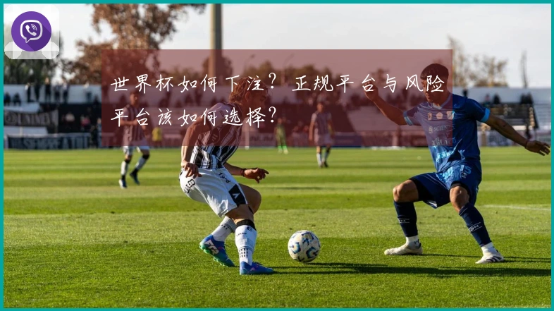 世界杯如何下注？正规平台与风险平台该如何选择？