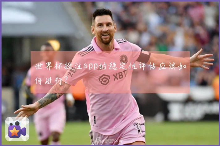 世界杯投注app的稳定性评估应该如何进行？