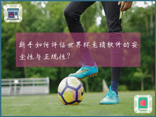 新手如何评估世界杯竞猜软件的安全性与正规性？