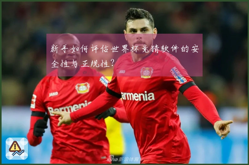 新手如何评估世界杯竞猜软件的安全性与正规性？