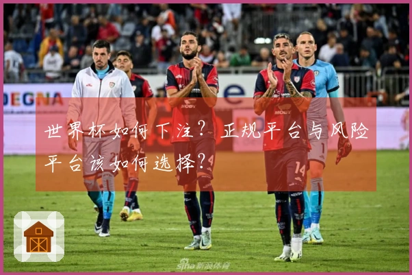 世界杯如何下注？正规平台与风险平台该如何选择？