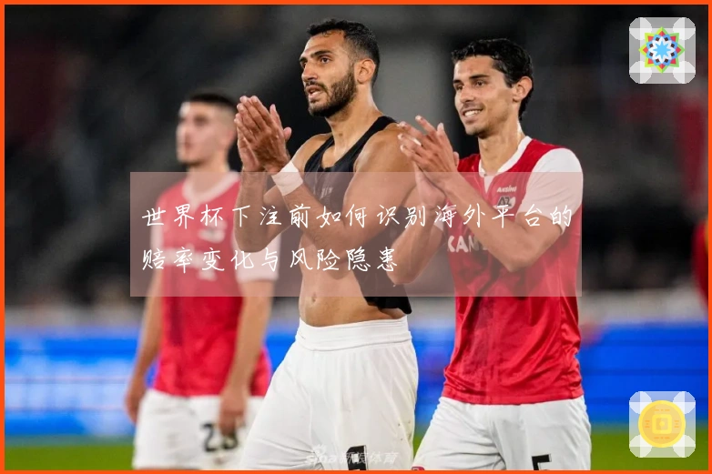 世界杯下注前如何识别海外平台的赔率变化与风险隐患