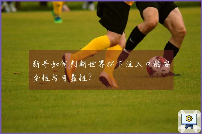 新手如何判断世界杯下注入口的安全性与可靠性？