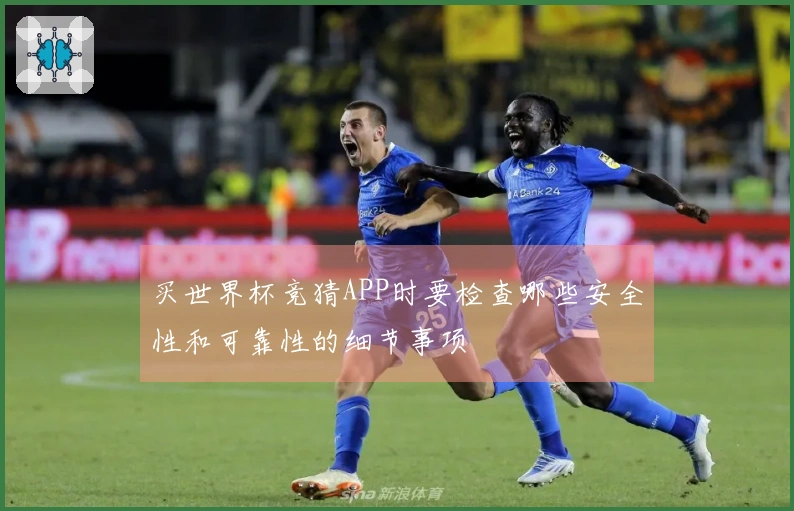 买世界杯竞猜APP时要检查哪些安全性和可靠性的细节事项