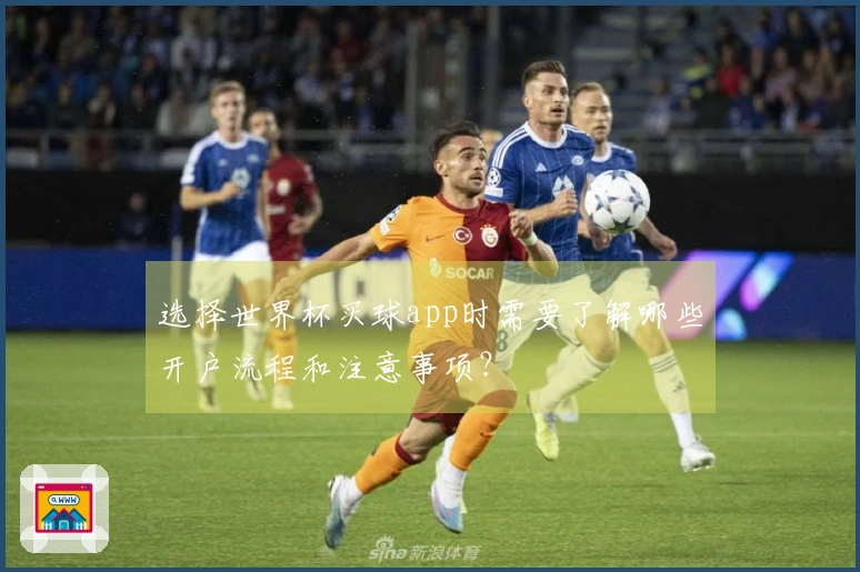 选择世界杯买球app时需要了解哪些开户流程和注意事项？