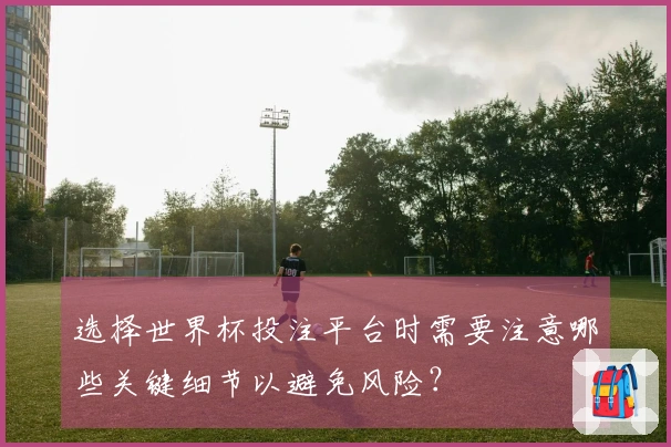 选择世界杯投注平台时需要注意哪些关键细节以避免风险？