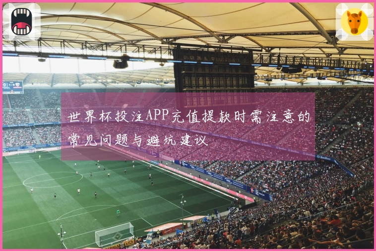 世界杯投注APP充值提款时需注意的常见问题与避坑建议