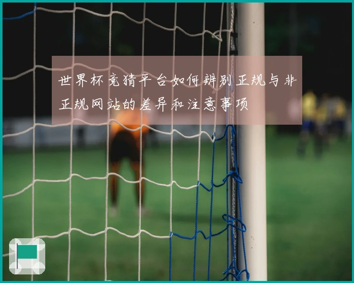 世界杯竞猜平台如何辨别正规与非正规网站的差异和注意事项