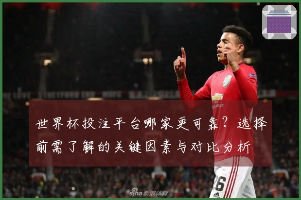 世界杯投注平台哪家更可靠？选择前需了解的关键因素与对比分析