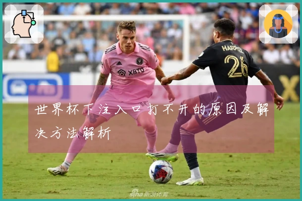 世界杯下注入口打不开的原因及解决方法解析