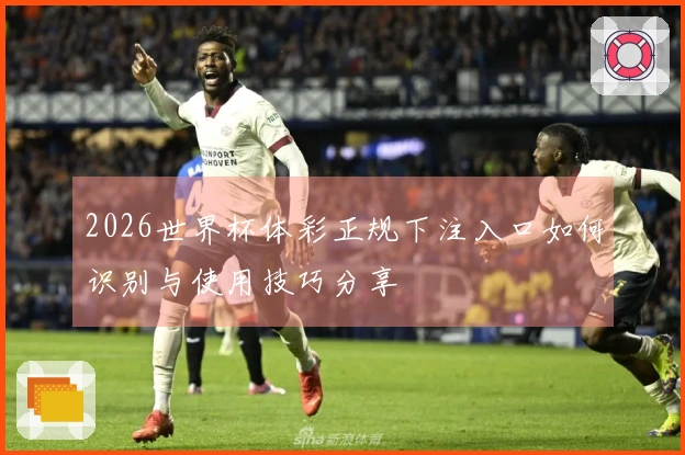 2026世界杯体彩正规下注入口如何识别与使用技巧分享