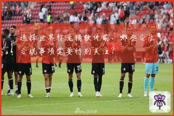 选择世界杯竞猜软件前，哪些合法合规事项需要特别关注？