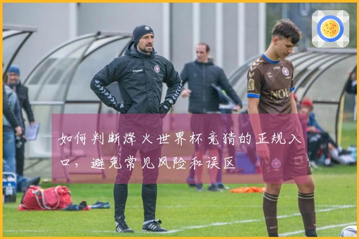 如何判断烽火世界杯竞猜的正规入口，避免常见风险和误区