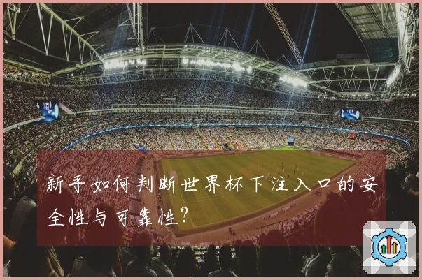 新手如何判断世界杯下注入口的安全性与可靠性？