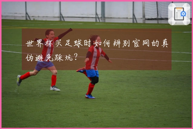 世界杯买足球时如何辨别官网的真伪避免踩坑？