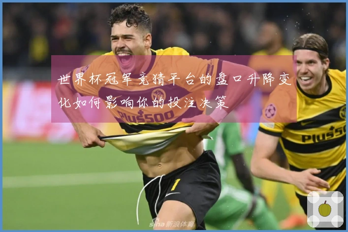 世界杯冠军竞猜平台的盘口升降变化如何影响你的投注决策