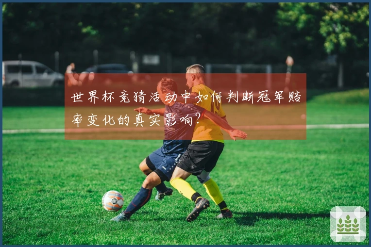 世界杯竞猜活动中如何判断冠军赔率变化的真实影响？
