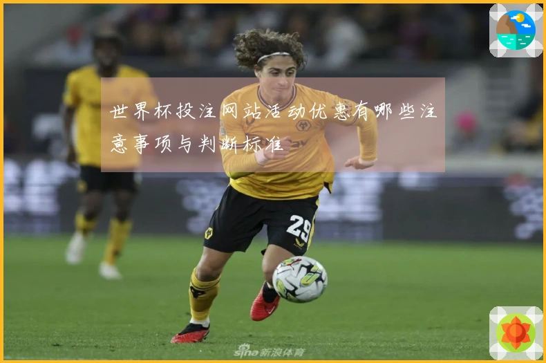 世界杯投注网站活动优惠有哪些注意事项与判断标准