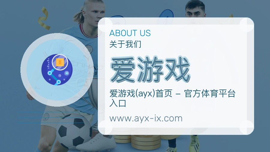 关于 爱游戏